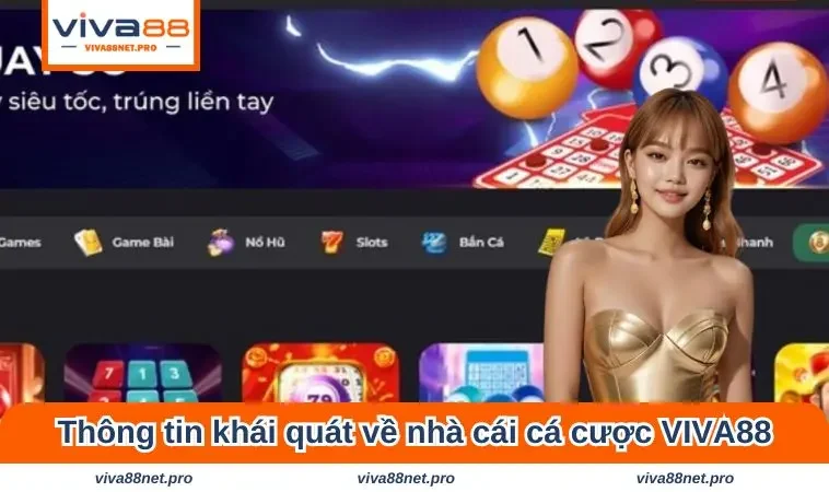 Thông tin khái quát về nhà cái cá cược VIVA88